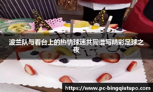 波兰队与看台上的热情球迷共同谱写精彩足球之夜